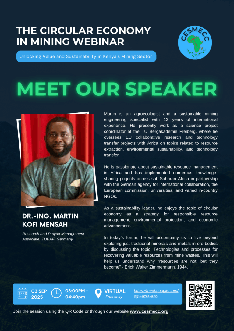 Dr. -ING Martin Kofi Mensah